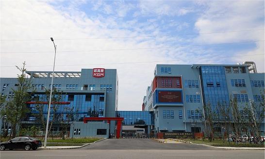技术服务与食品进出口 企业合规经营范围深度解读